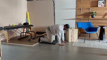 TLS — Quadruped Hover to Down Dog; Active Phase