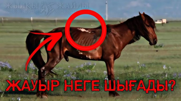 Жақыннан жұлқылау Жақыннан жұлқылау