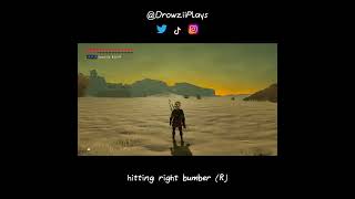 Celebrity Add style/flash to your combos with Pivot Flipping!  - BOTW Glitch #shorts #zelda Profile