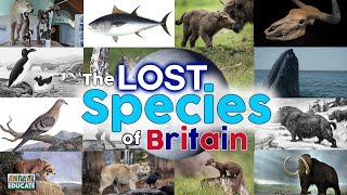 The Lost Species of Britain 👉🏻 extinct animals in the UK