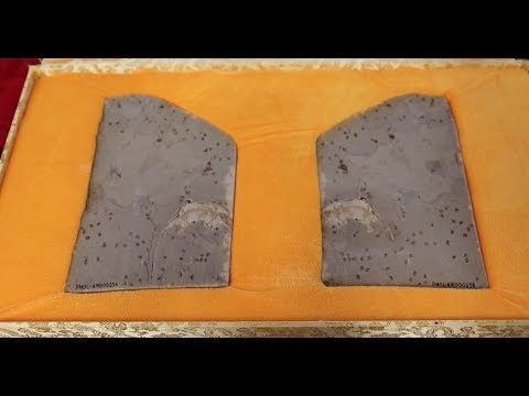 Fossil Found in China Sheds Light on Early Evolution of Mammal-like Hyoid Bones newspaper mockup