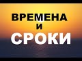 ВРЕМЕНА И СРОКИ  - Вячеслав Бойнецкий