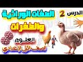 الصفات الوراثية والطفرات الدرس الثاني علوم الصف الأول الإعدادي الترم الثاني 2025 