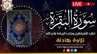 سورة البقرة كاملة, رقية للبيت, وعلاج للسحرسورة البقرة طاردة الشياطين تلاوة للنوم | Surah Al Baqarah