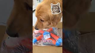 The Good Dog vs The Chaos Dog!!!