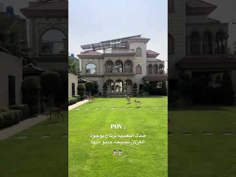 فديو طلع م ن الانبار وين و صل العراق بغداد الانبار رمادي تصويري لايك اكسبلور