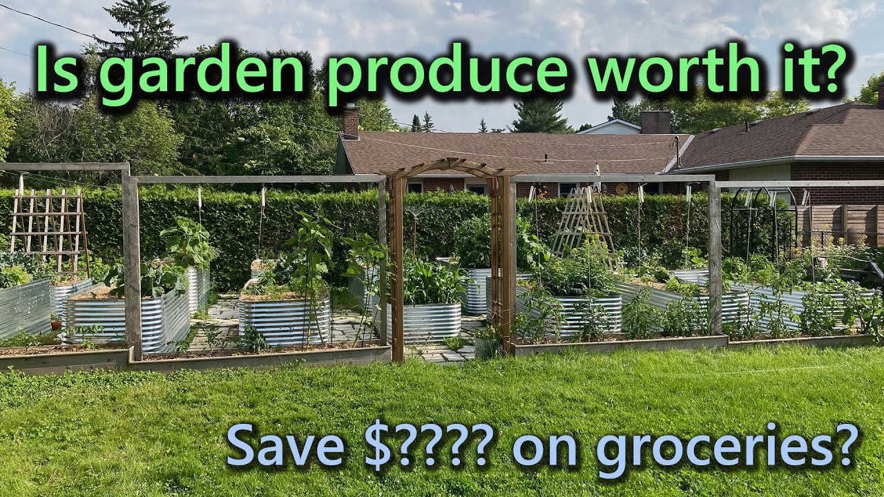 Is gardening cheaper than groceries?