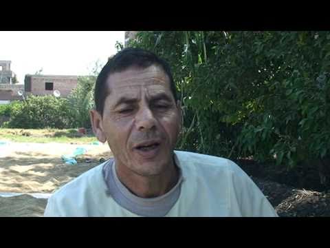 عزبة عرفان عبده فرحات الشهير بشبهه 