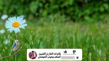 تلاوة خلابة من سورة الرحمن لـلـقارئ الـشـيـخ : { أسعـد يحيى الميمـني }