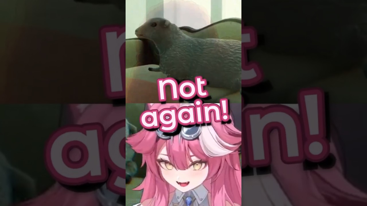 Raora's Sheep Flashback Hits Hard