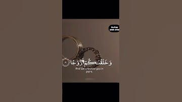 سورة النبإء الاية 6 الم نجعل الارض مهدا بصوت عبدالرحمن المسعد 💟🌸