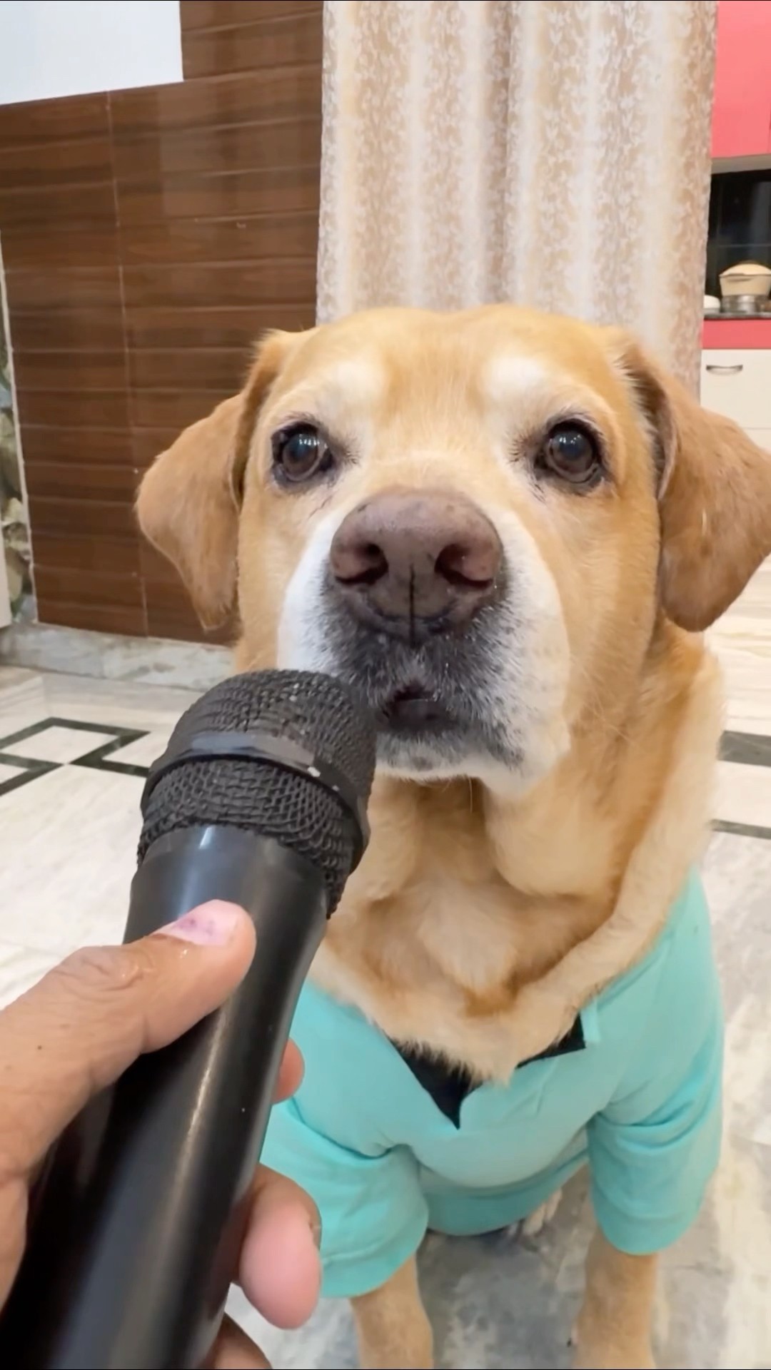Leo singing a song? #shorts | Anant Rastogi