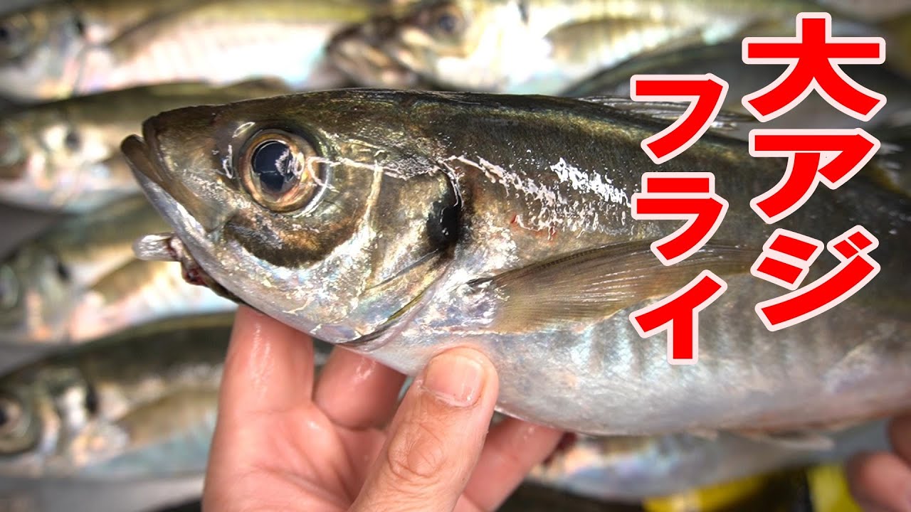 旨すぎ注意 釣りたての大アジで作る絶品アジフライ22 3 5玉市丸 大アジ料理 Youtube