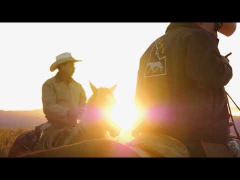 The Cowboy Channel