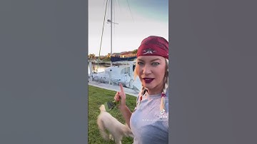 My dog has main character energy 🐩⛵️ #rebootthecatamaran #catamaran  #sailing #dogsonboard #boat