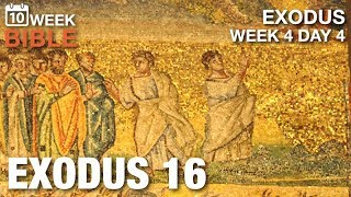 Manna and Quail, Oh Yeah! | Week 4 Day 4 | Exodus 16