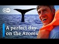 Discover the Azores | A perfect Day on the Azores | Best things to do on the Azores