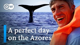 Discover the Azores | A perfect Day on the Azores | Best things to do on the Azores