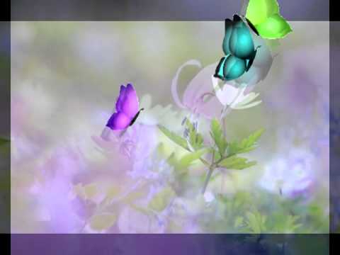 ลาวเจ้าซู ขิม พร้อมพัฒน์