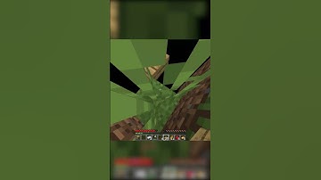 Minecraft, but its floating islands