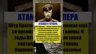 ОН ПОШЁЛ ПРОТИВ СВОИХ — И ОБРАТНОГО ПУТИ УЖЕ НЕ БЫЛО #вов #ссср #история #интересныефакты