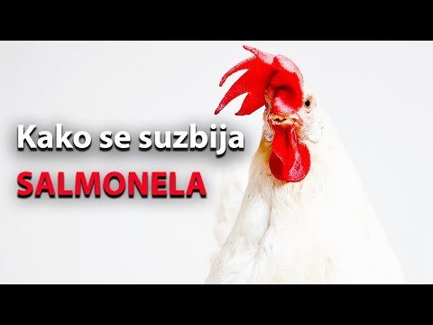 Kako se suzbija salmonela