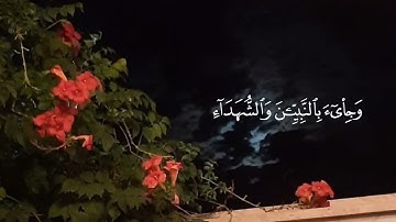وَأَشْرَقَتِ الْأَرْضُ بِنُورِ رَبِّهَا🌷 #علي_جابر #سورة_الزمر