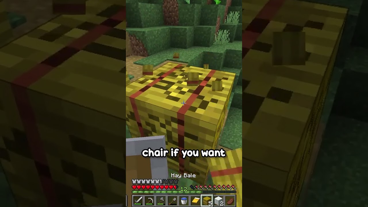 Minecraft, but I do a wheelie 🪑