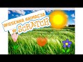 Wiosenna animacja w Scratch. Scenariusz lekcji w Nauczyciel na Plus.
