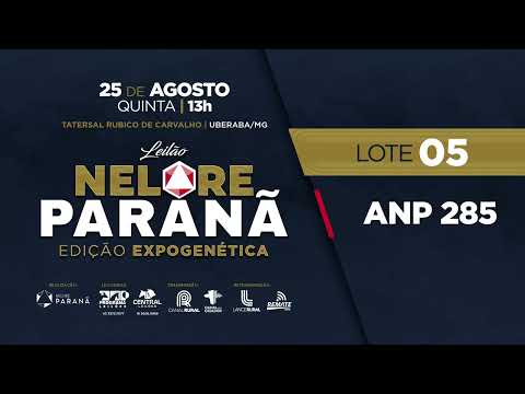 LOTE 5 ANP 285