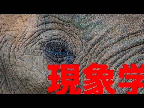 フッサール①】西洋哲学史 現代哲学解説【現象学】【超越論的