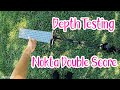 Depth Testing Nokta Double Score