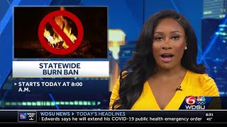 Statewide burn ban in place