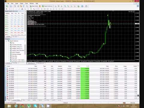 best robot forex 2013