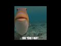 bababooey farts and bruh has something to say about it underwater (ASMR?)