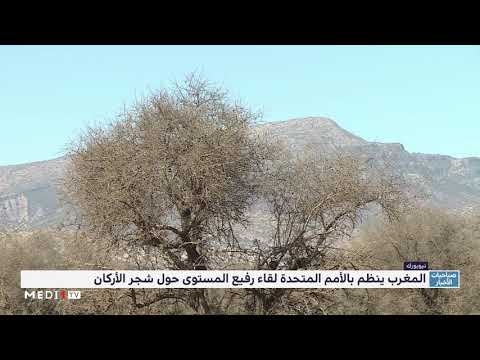 المغرب ينظم بالأمم المتحدة لقاء رفيع المستوى حول شجر الأركان
