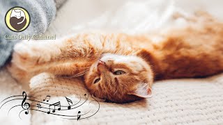 Calming Music for Cats  Harp Music for Relaxation and Sleep (with nature sounds)