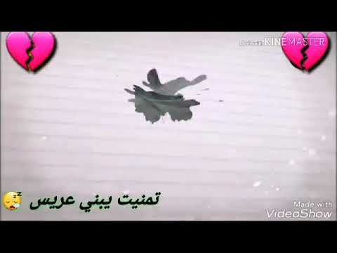 تمـنيت يبني عريسـ وشـبآن يزفونگ آلشـهہيد آلآعلآمـي وآرث