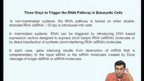 Mod-10 Lec-38 Regulation of Eukaryotic Gene Expression by Small RNAs (RNA Interference, RNAi)