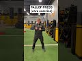 How to perform the pallof press (core exercise)