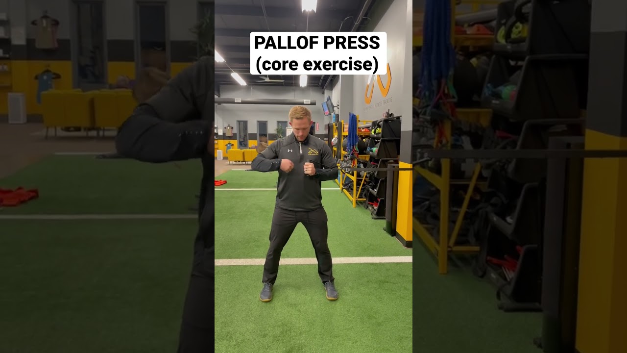 How to perform the pallof press (core exercise)