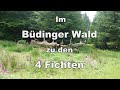 Radtouren um Schlüchtern 86: Im Büdinger Wald zu den 4 Fichten