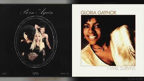 Thumbnail of Lisa, Raye, Doja Cat, Gloria Gaynor - Born Again x I Will Survive (Adamusic Mashup)