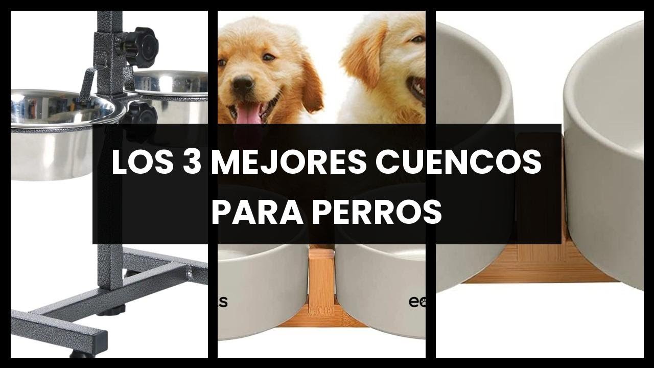 Cual es la mejor pipeta para perros