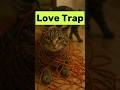 Toxic Love Cat