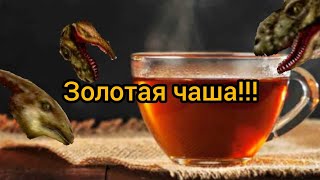 Золотая чаша золотая!!!