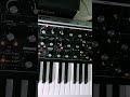 Moog Subsequent