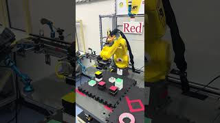 Fanuc Color Detection System