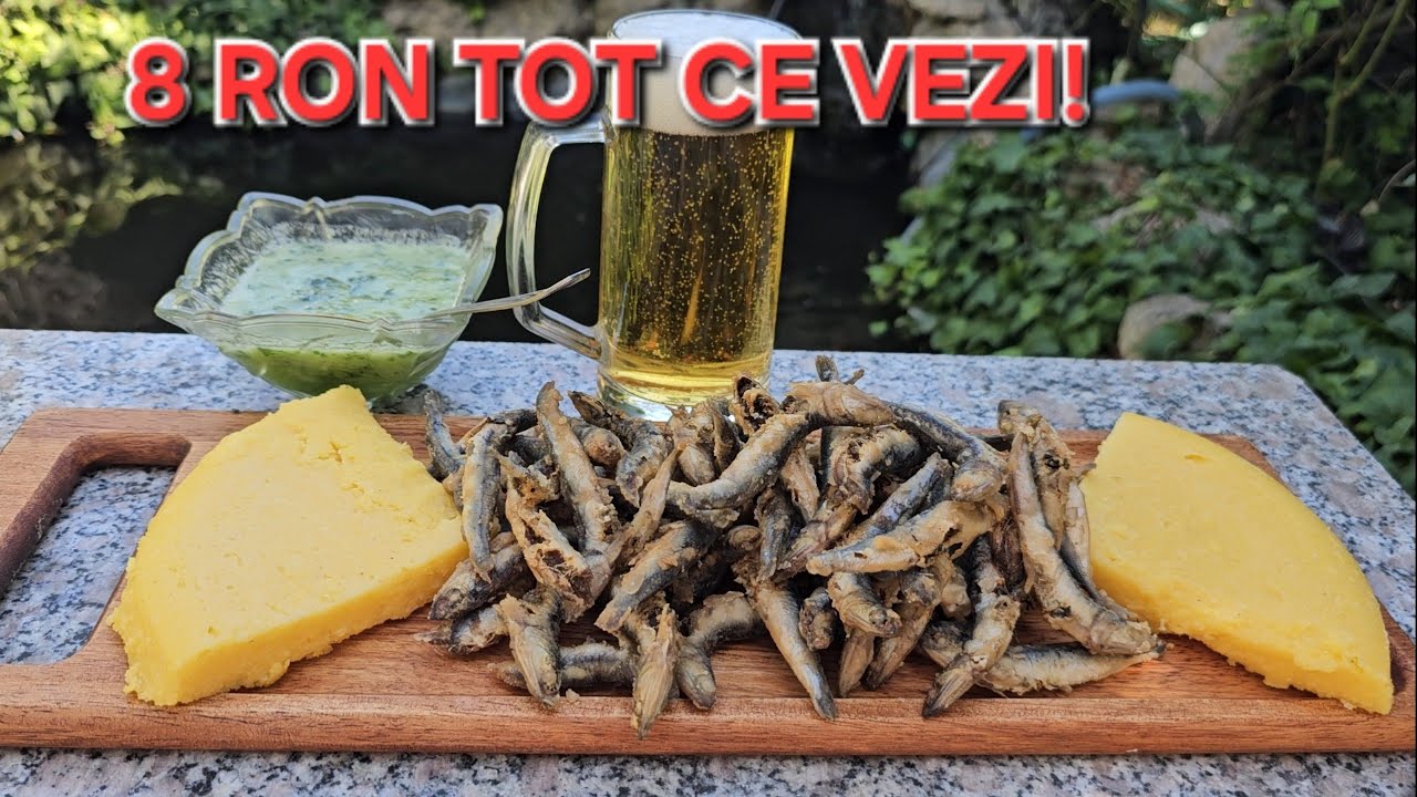 AU DAT 100 RON PE O PORTIE DE HAMSIE SI O BERE.CĂT TE COSTĂ SA FACI ACASĂ HAMSIE,MUJDEI SI MĂMĂLIGĂ 