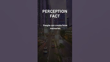 Illusions of Memory: Unraveling False Memories in 60 Seconds! 🧠 | Perception Shorts